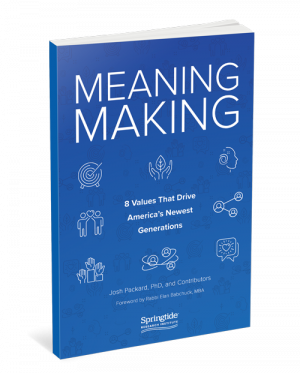 meaningmaking-cover-6×9-final-web meaningmaking-cover-6x9-final-web